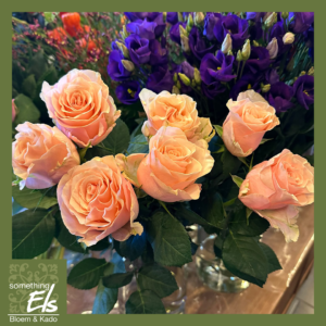 Snijbloemen
