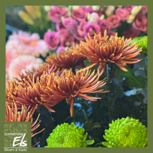 Verse bloemen